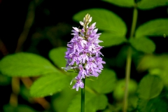 Gallery_1020263