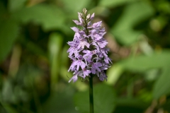Gallery_1020266