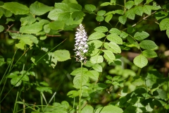 Gallery_1020268