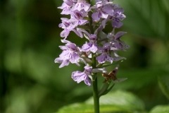Gallery_1020270