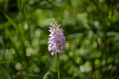 Gallery_1020274